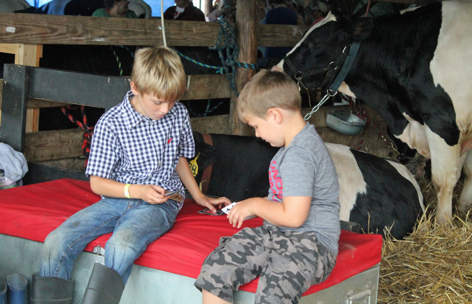 DC Fair Wednesday 028.JPG